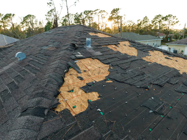 Best Metal Roofing Installation  in Gridley, CA